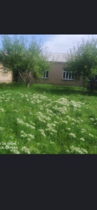 Hovli uy joy sotiladi Bulungʻur gʻalabada