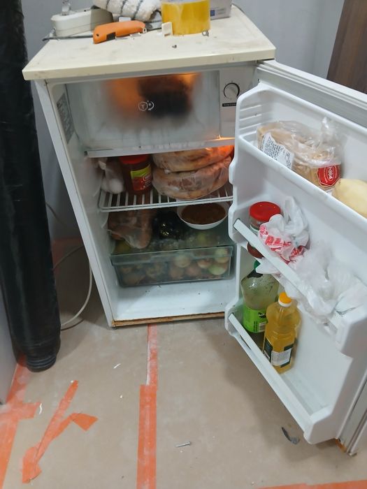 Кишкентай каладиник сатылады