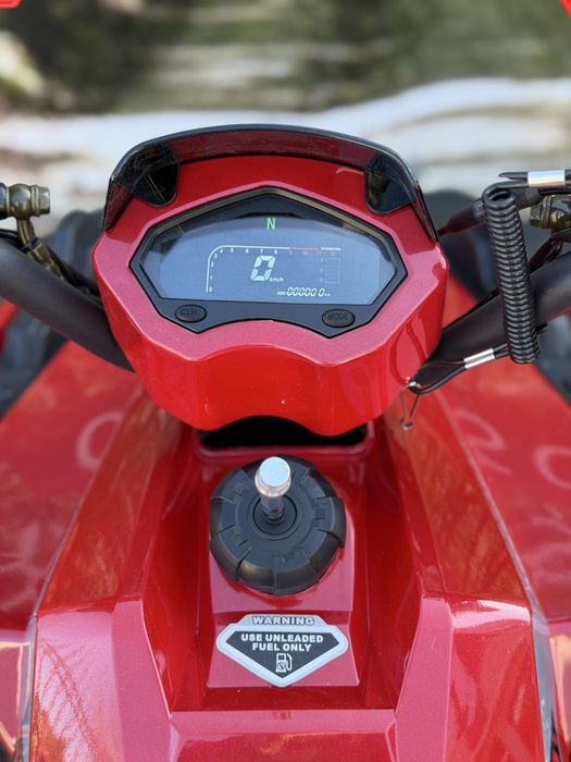 XTL tyrannosaurus 125cc