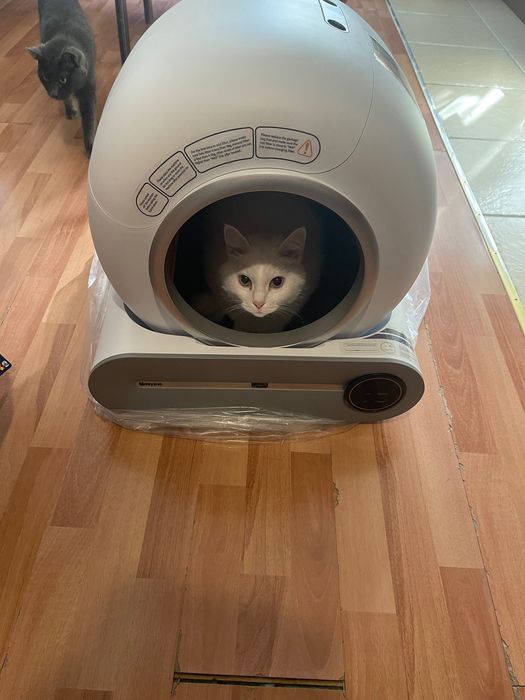 Автоматический туалет для животных