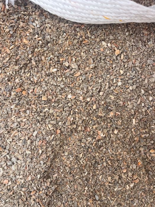 Смлени черупки от рапани