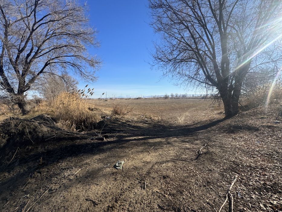 В аренду поливная земля