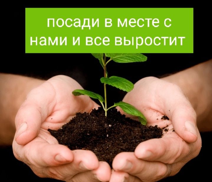 Навоз Перегной Чернозём