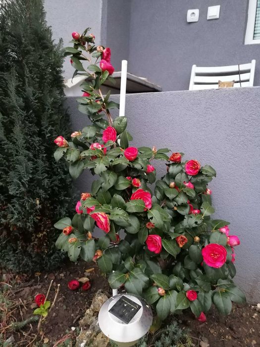 Продава се Къща в с. Стоб, Област Кюстендил - 110 кв.м за 1182 €/кв.м - Снимка #7