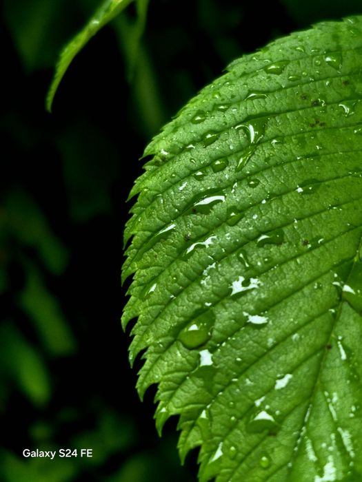 Samsung s24 fe 8/256