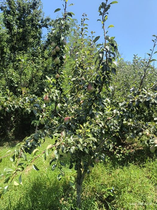 Proprietar vând casă nouă foarte  aproape de oraș