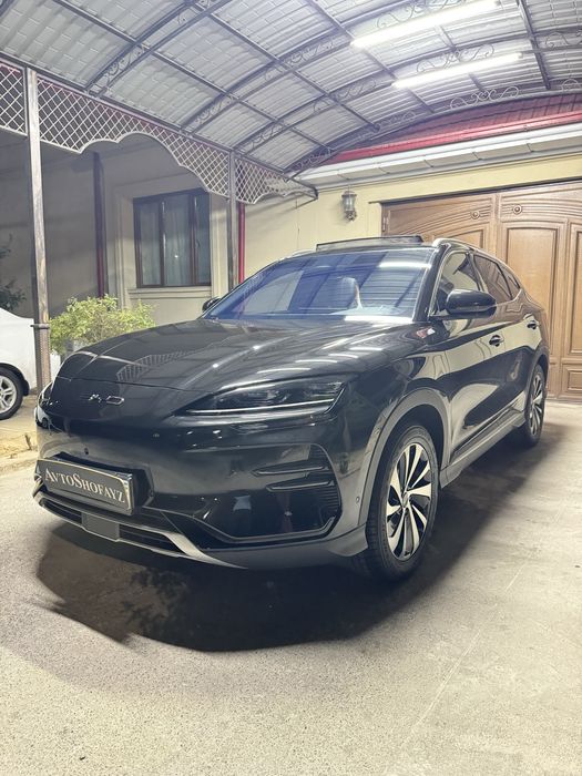 BYD chempion 605