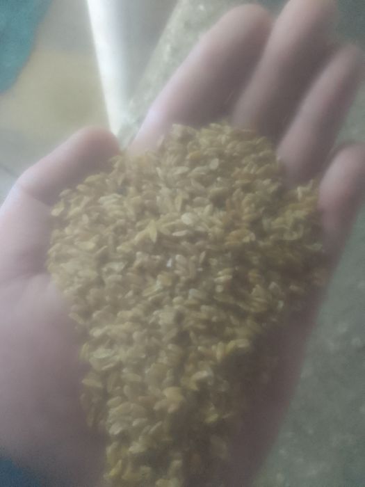 Отход-Зерно Отруби Сечка