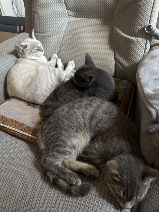 Әйел аналының қолы