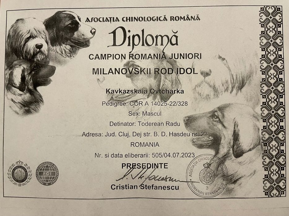 ciobănesc caucazian din prinți campioni !!!