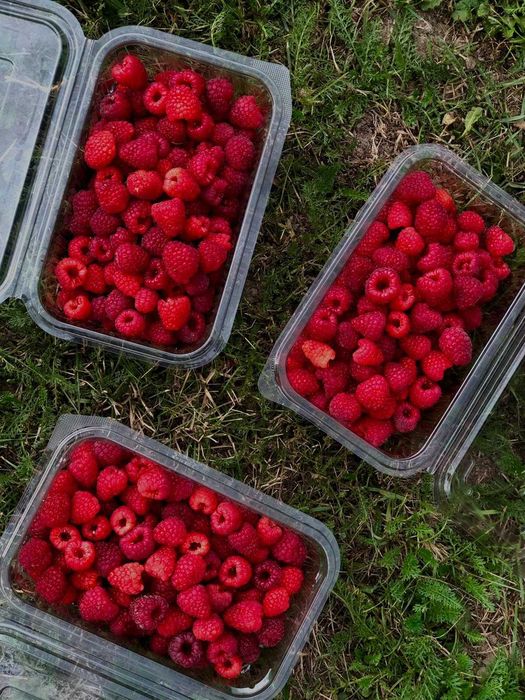 Gem de zmeura natural