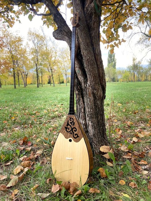 Домбыра домбры маленький домбра детский домбыра домбұра