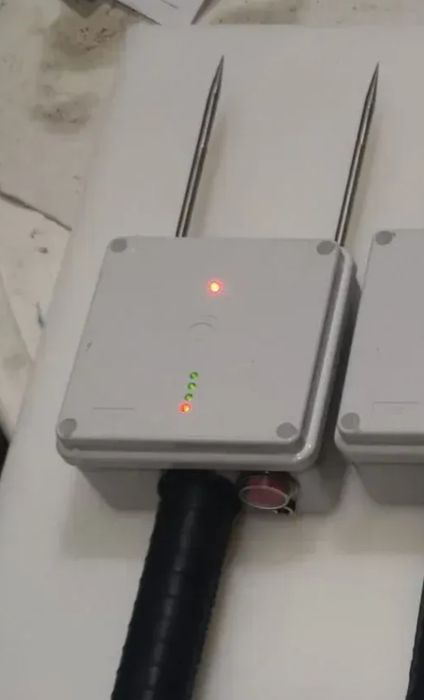 Asomator fara limita de kg porci vitei