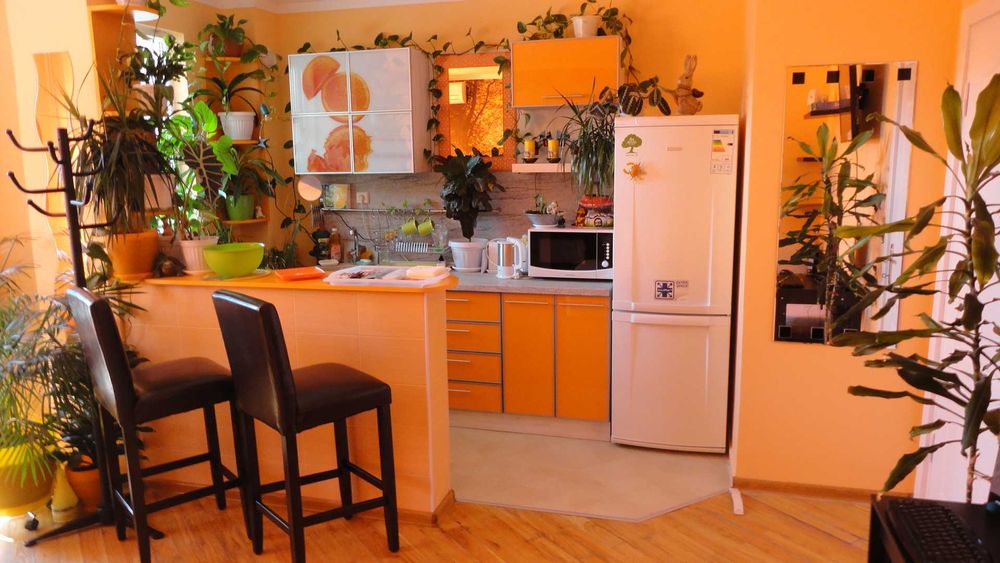 Студио 30 евро (за цялото студио) център до автогара "Юг"