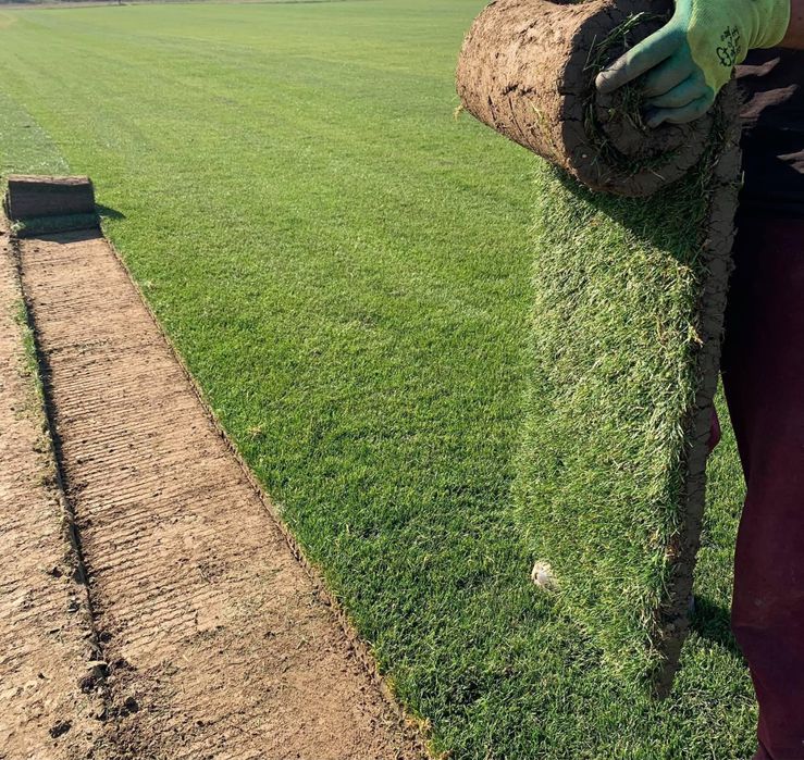 Rulouri gazon natural montaj rapid