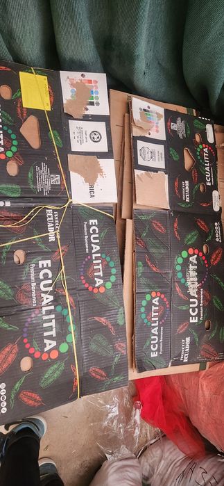 Banan karoka olamisiz