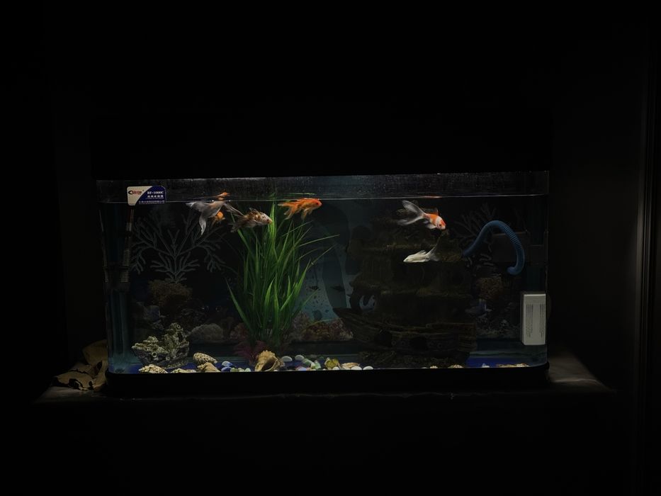 Аквариум 160 литр