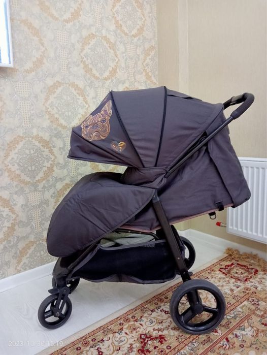 Детская коляска зима-лето