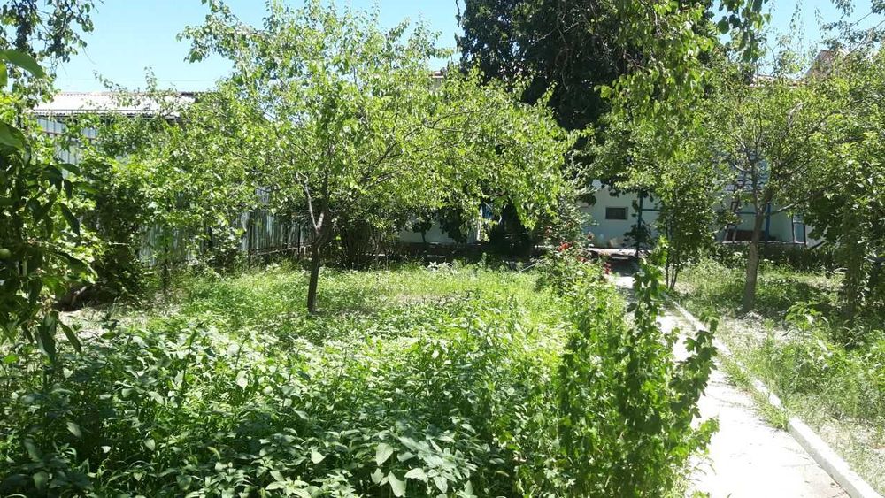 Участка сотилади, Самарканд 6 сот