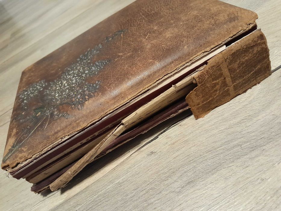 Album foto vechi poze cabinet studio Art Nouveau Jugendstil 1900