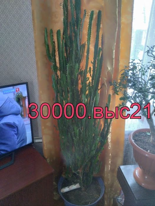 Продам. Для дома и офиса