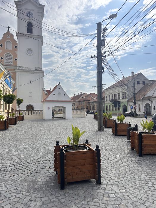 Piatra cubica 10x10x5