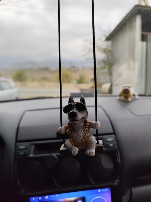 Украшие в машину