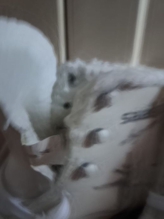 Продам теплые коньки