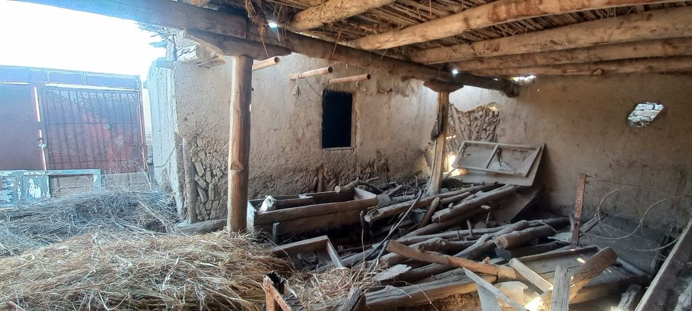 Боло харвасталар сотилади нархини келишамиз