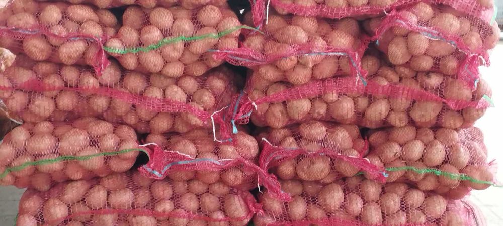 cartofi consum, ceapa,morcovi