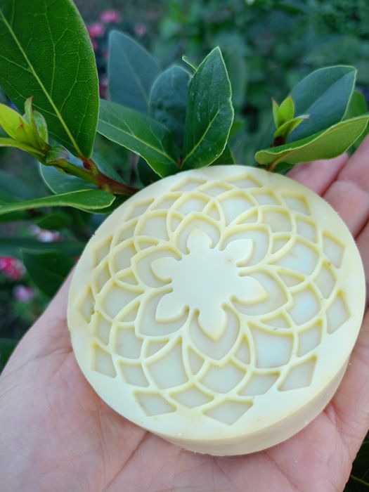 Săpun de Alep 100% natural  cu dafin set