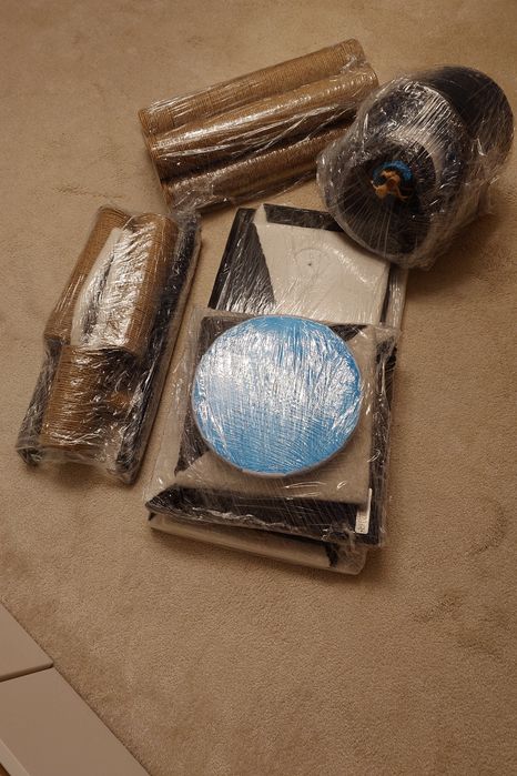 Ansamblu joaca pisici