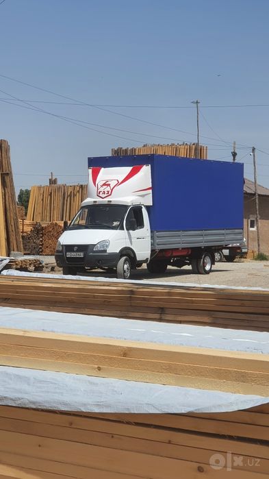 Gazel biznes bo‘rtli tentli