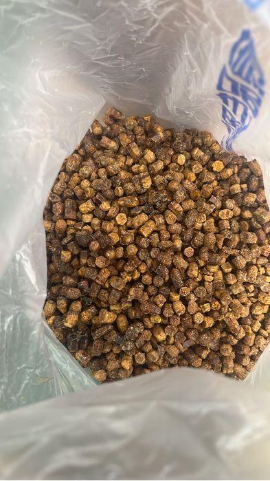 Перга ( хлебина) сбор 2025г