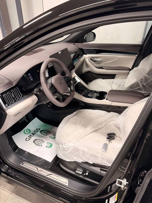 Byd song plus chempion