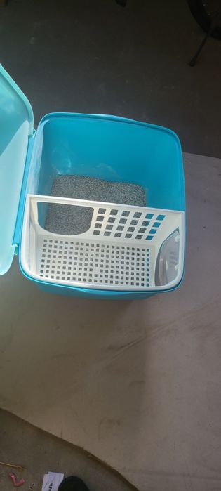 Кошка дом.            .