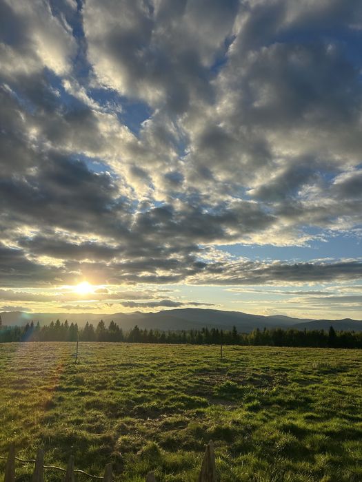 Black Hill Retreat - sauna si ciubar