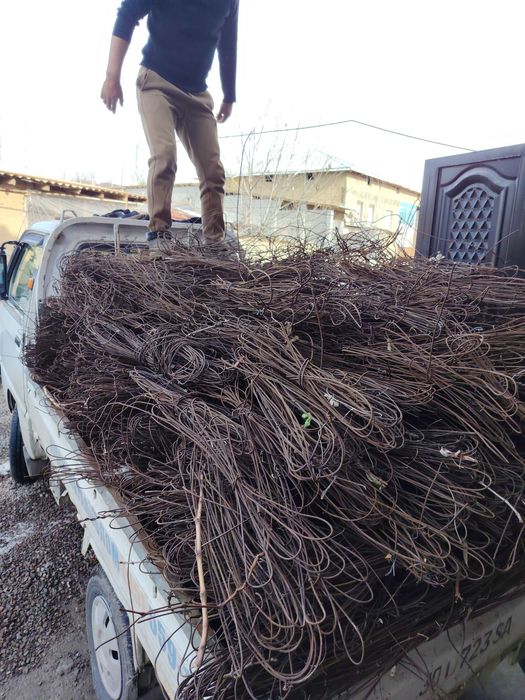 Assalomu alaykum Toshkent shahar buylab istalgan joydan keraksiz metal