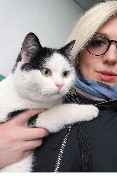 Кот Черчилль ищет старых или новых хозяев