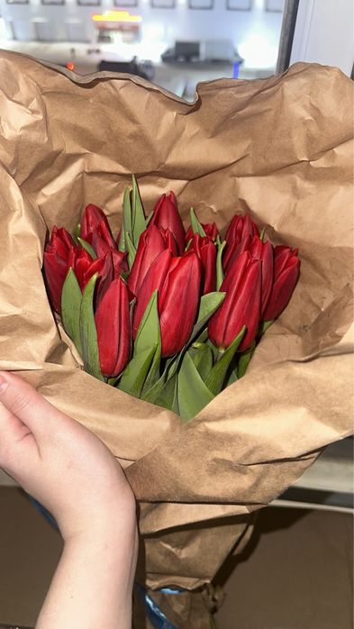 Тюльпаны алматинские крупные