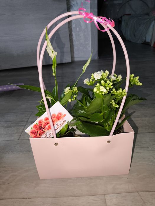 Цветы подарки цветущие