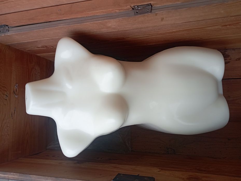 Maniken sotiladi, yengi