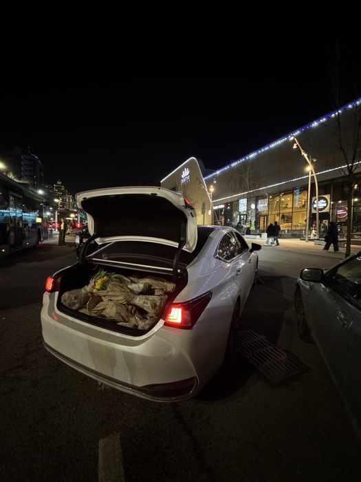 Тюльпаны пионовидные