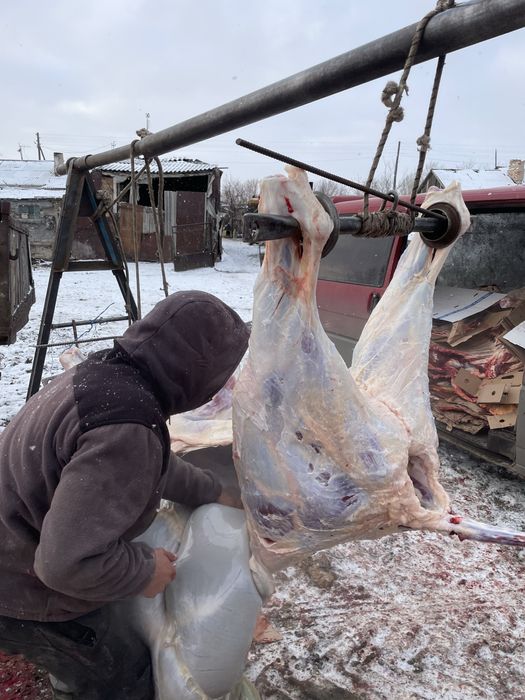 Мякоть без кости,халяль