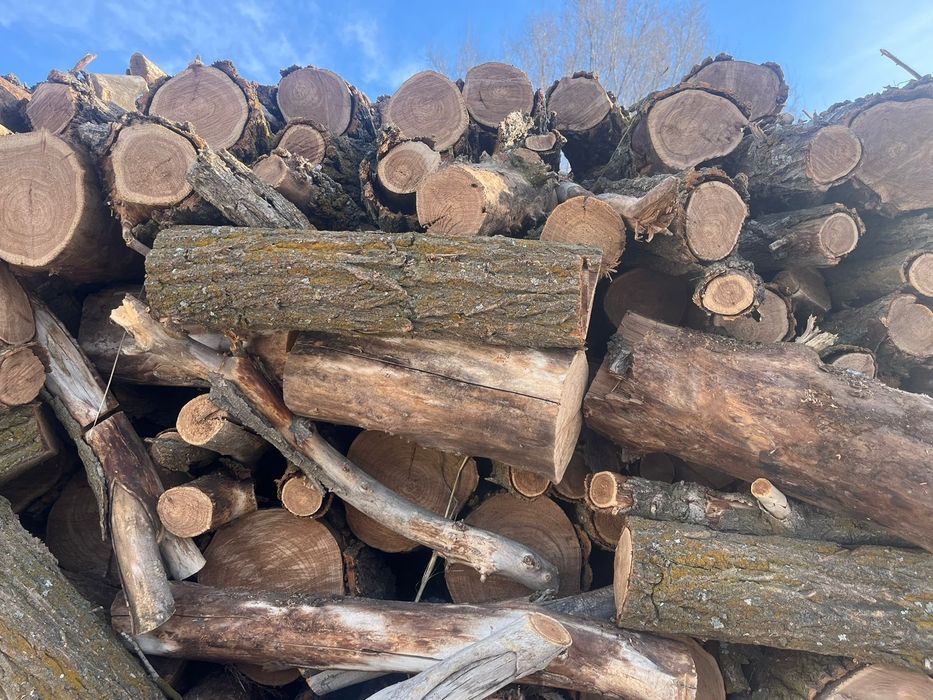 Агаш отын драва шашлыкке