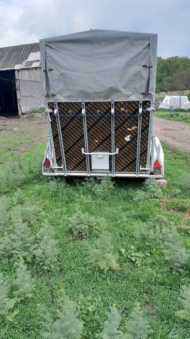 Vând remorca de cai