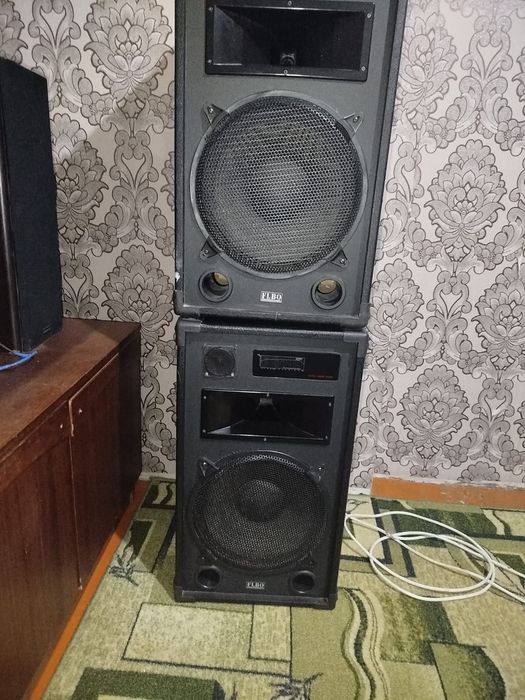 колонки концертные FLBO