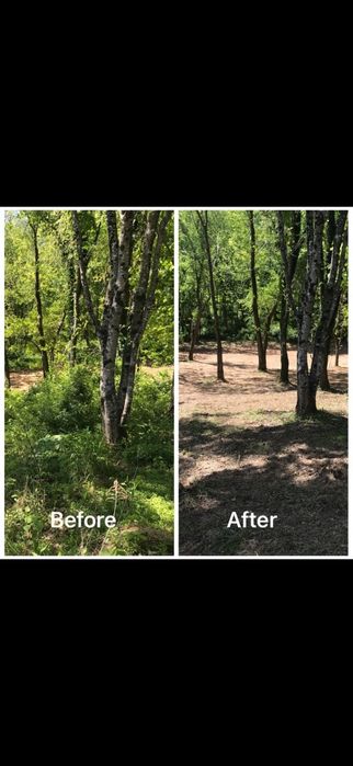 Curățare terenuri – Alba Iulia și împrejurimi