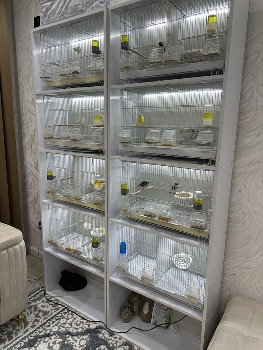 Паровка кафас шкаф