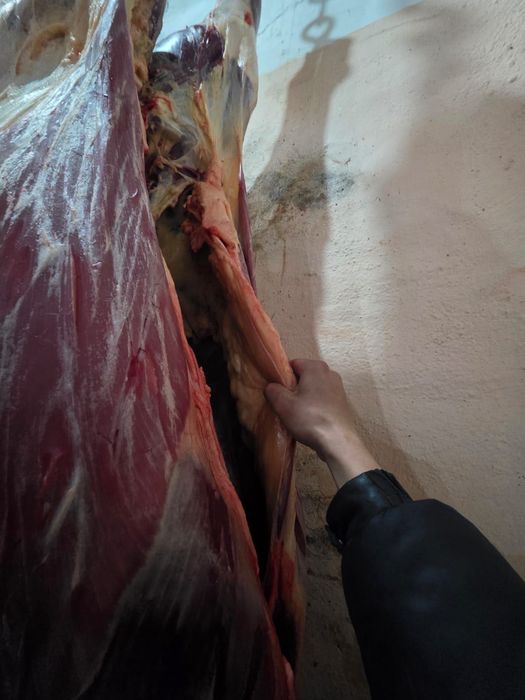 Продается жабагы